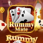 Rummy Mate